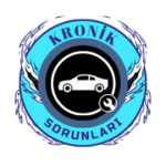 Kronik Sorunlar